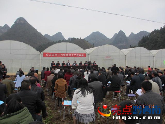 D鴺a(chn)F(xin)F(xin).jpg