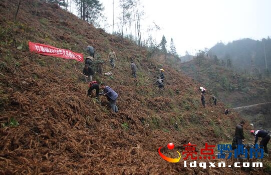 QQ截圖20160214141809.jpg