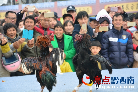 DSC_0047_看圖王.jpg