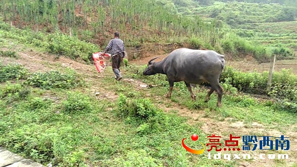 闅愭?zhèn)f帓闄?JPG