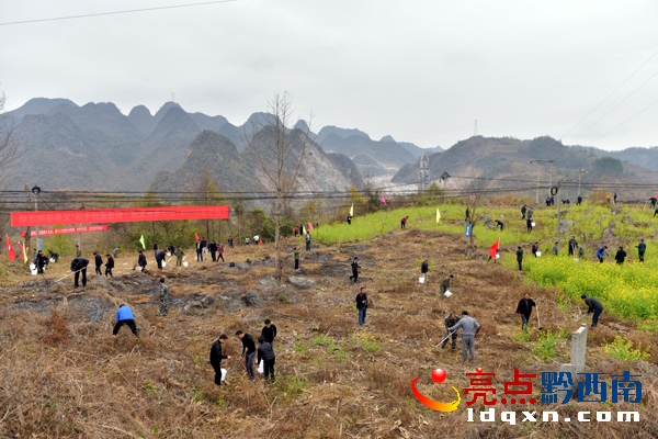 植樹現場4.jpg