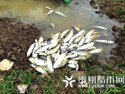 都市報(bào)A06版_A_C01_h_p28_b.jpg